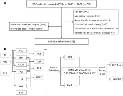 A novel immune-nutritional score predicts response to neoadjuvant immunochemotherapy after minimally invasive esophagectomy for esophageal squamous cell carcinoma